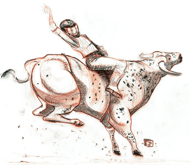 Pro Bull Rider- Bull Riding - by Joseph Pedroza